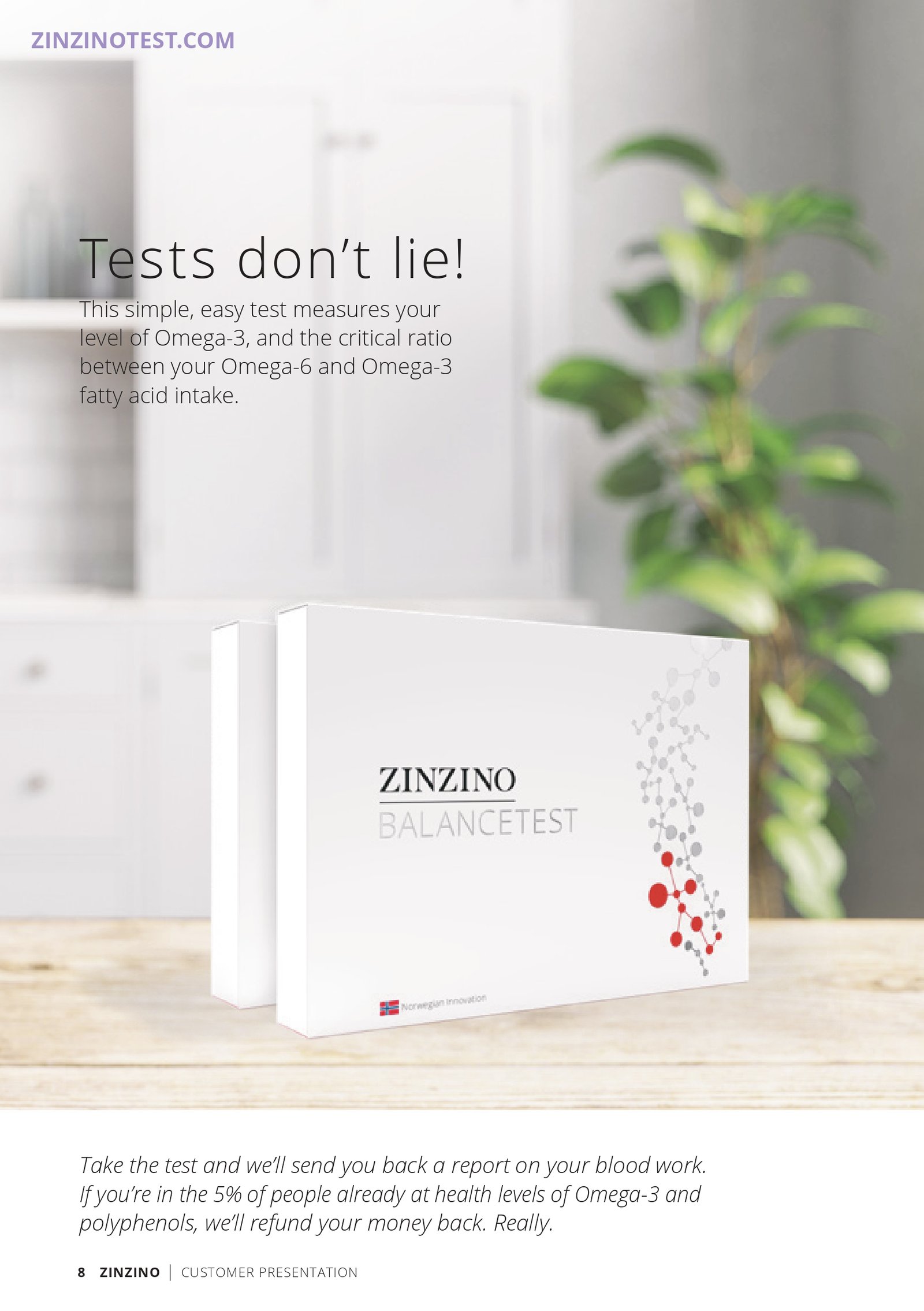 CustomerPresentation-en-GB_pages-to-jpg-0008 (1)