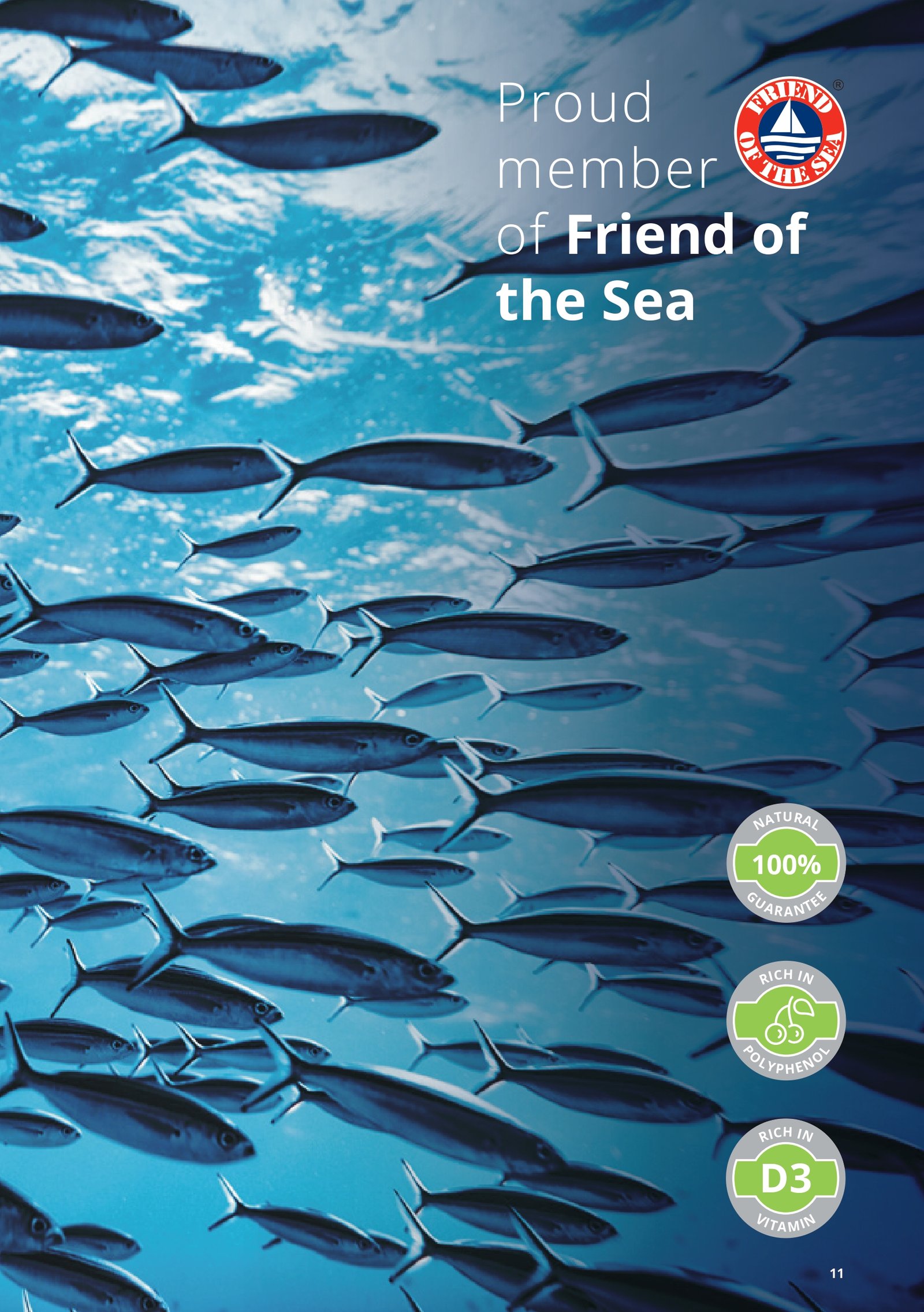 CustomerPresentation-en-GB_pages-to-jpg-0011 (1)