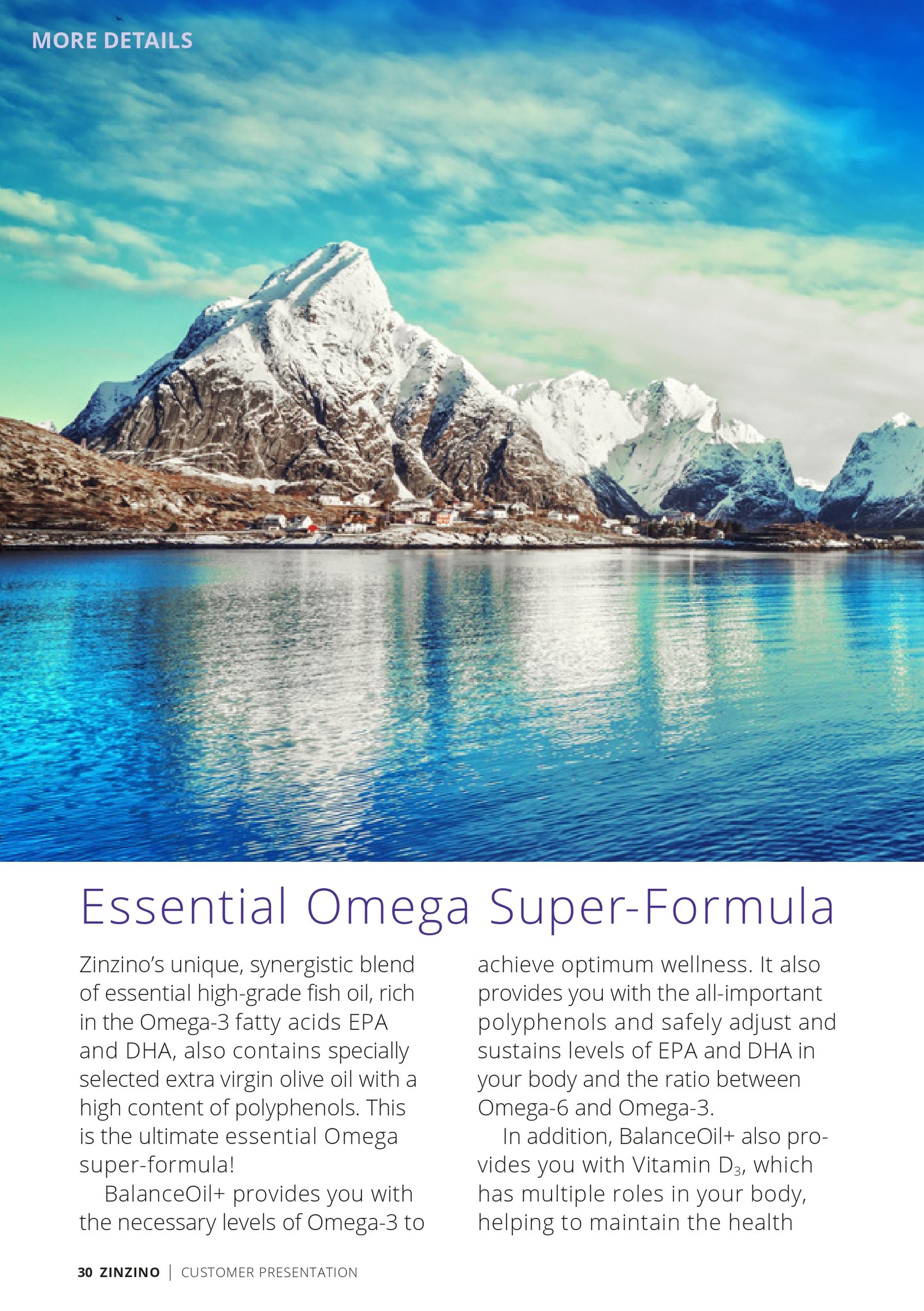 CustomerPresentation-en-GB_pages-to-jpg-0030 (1)