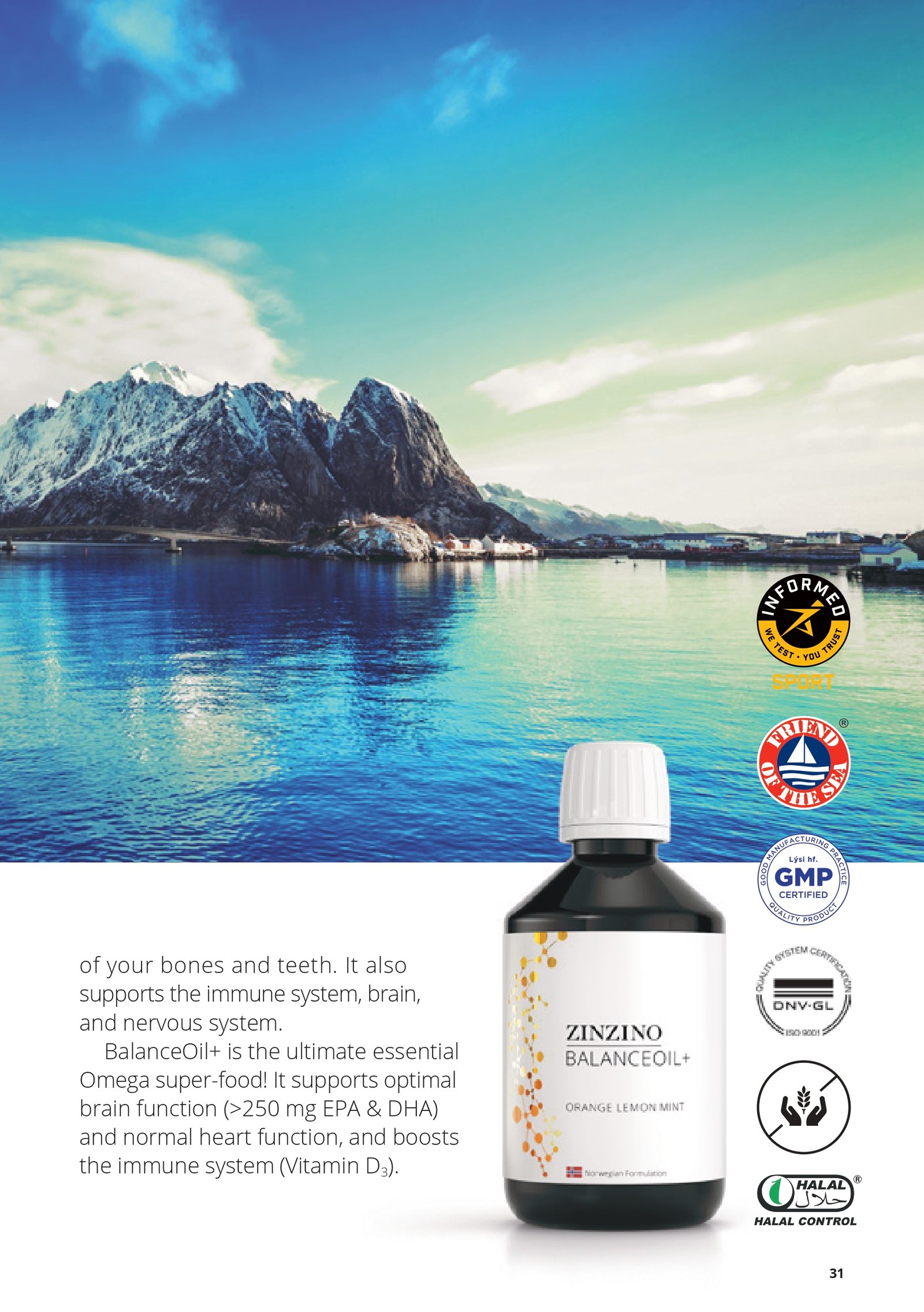 CustomerPresentation-en-GB_pages-to-jpg-0031 (1)