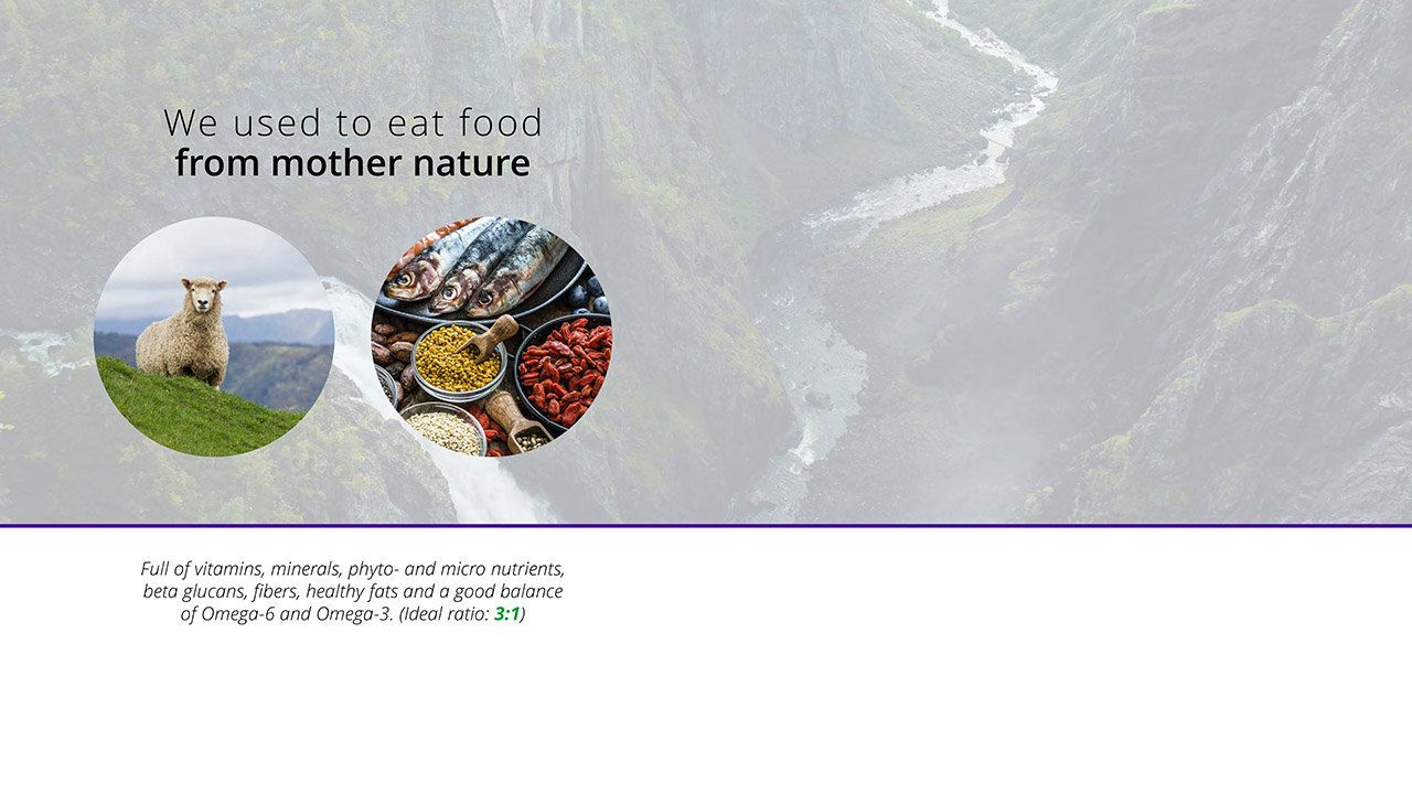 product-page_page-0006-1