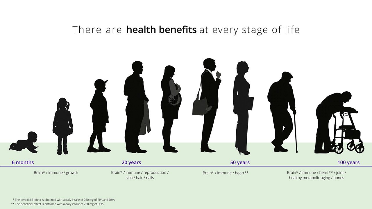 product-page_page-0013-1